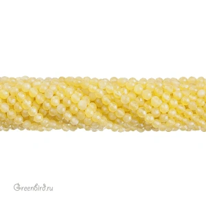 SVA-BEAD-311_big