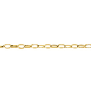 Цепочка, овальные звенья 11х6 мм, золото, 30 см (#SVA-Chain-101G)