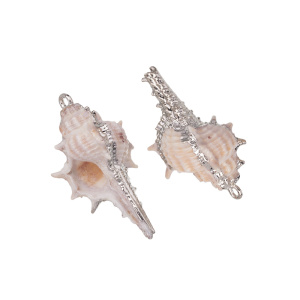 Подвеска "Ракушка" 25-40 мм натуральная, серебро, 1 шт. (#SVA-BASE-147)