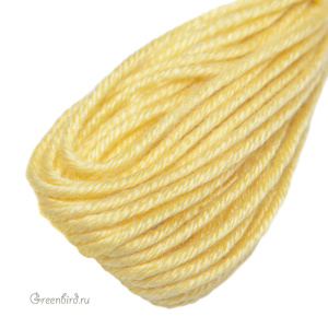 Шелковое мулине AVAS Soie D'Alger® , 1 шт. (#2513)