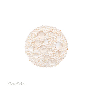 Swarovski 890068 Кристальная ткань Galuchat 20 мм, (#010/001GSHA), 1 шт.