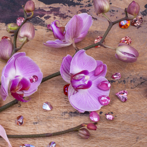 Благодарность 500