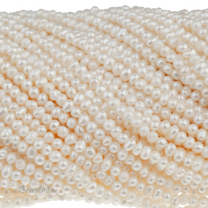 SV1701-1243_big