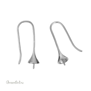 Швензы-крючки для вклеивания, родий, пара (#SV1701-2121)