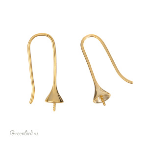 Швензы-крючки для вклеивания, золото, пара (#SV1701-2122)