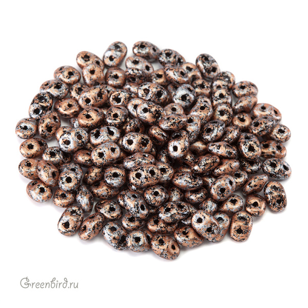 PB307-0205-45709JT_big