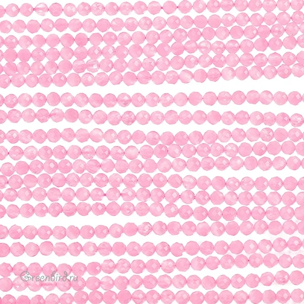 SVA-BEAD-313-2