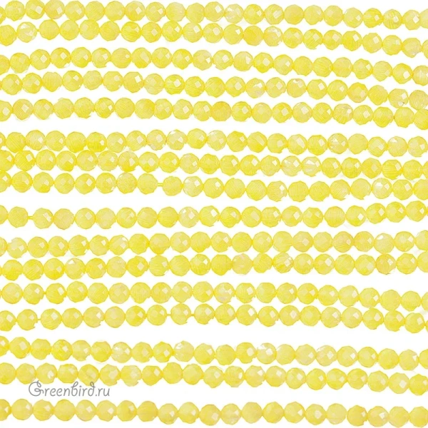 SVA-BEAD-311-2