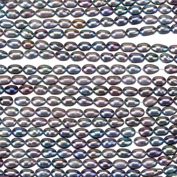 _SV1701-2536_1_big