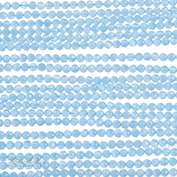 SVA-BEAD-312-2