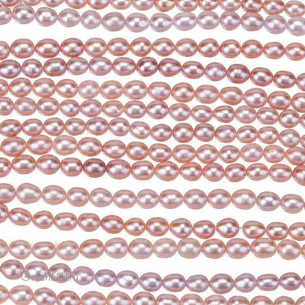 _SV1701-2635_1_big